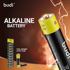 Budi AA Mercury-Free Alkaline Batteries - 1 Pair - Image 2